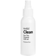 Sinful Clean Toy Cleaner für Sexspielzeuge 100 ml