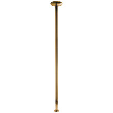 X-POLE Xpert Titanium Gold Polestange 4,5 cm  1