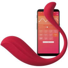 SVAKOM Phoenix Neo 2 Vibrator  1