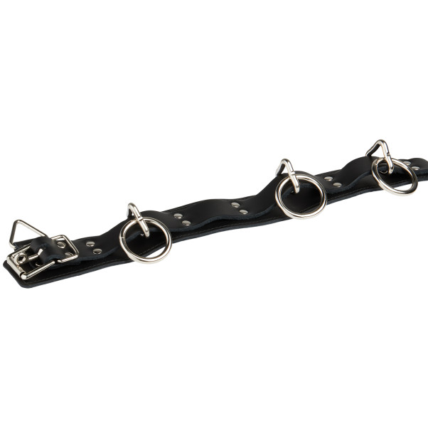 Spartacus Locking Collar Lederhalsband mit 3 Ringen