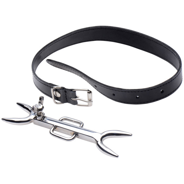 Strict Leather Heretics Fork Halsband