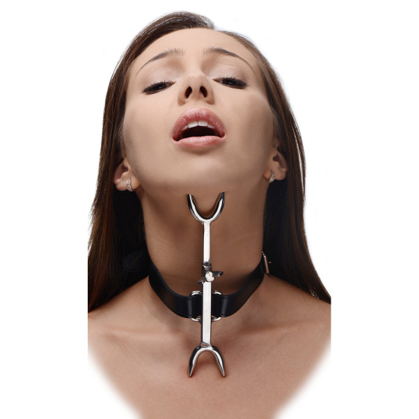 Strict Leather Heretics Fork Halsband