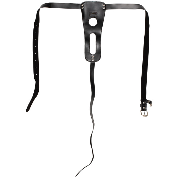 TLC Eves Harnisch- und Umschnalldildo-Set