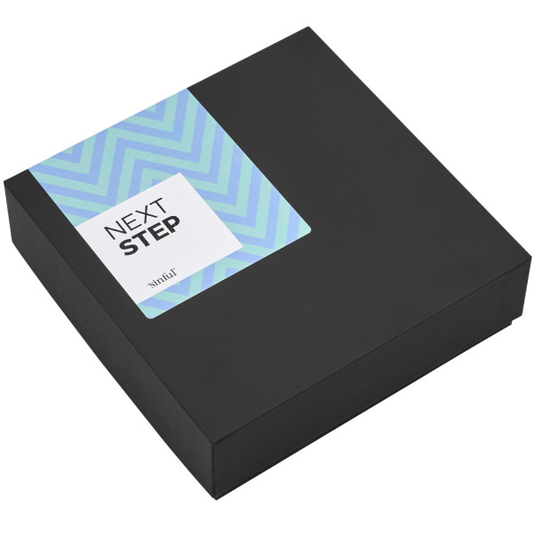 Sinful Next Step Anal-Sexspielzeug Box mit A-Z Anleitung