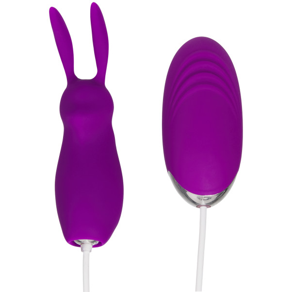 baseks Bunny Tickler und Vibro Ei mit Fernbedienung