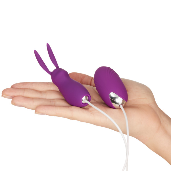 baseks Bunny Tickler und Vibro Ei mit Fernbedienung