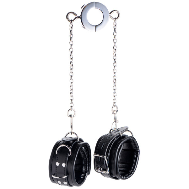 Master Series Hell's Tether Hodenstrecker und Demütiger