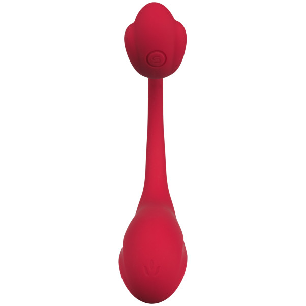 SVAKOM Phoenix Neo 2 Vibrator