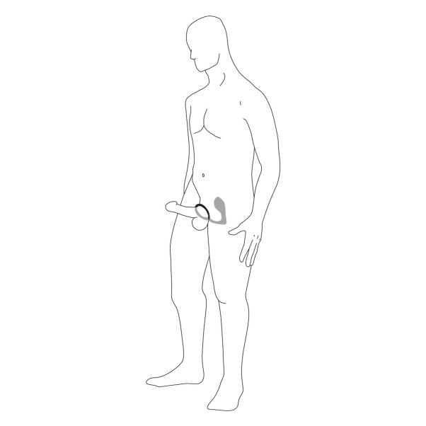 PDX Elite Ass-Gasm Extreme Vibrating Kit