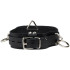 Spartacus Locking Collar Lederhalsband mit 3 Ringen