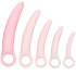 CalExotics Inspire Silicone Dilator Set