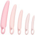 CalExotics Inspire Silicone Dilator Set