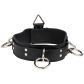 Spartacus Locking Collar Lederhalsband mit 3 Ringen