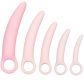 CalExotics Inspire Silicone Dilator Set