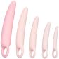 CalExotics Inspire Silicone Dilator Set