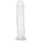 Willie City Realistischer Transparenter Dildo mit Saugnapf 22 cm