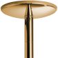 X-POLE Xpert Titanium Gold Polestange 4,5 cm