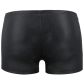Passion Matt Shorts Schwarz